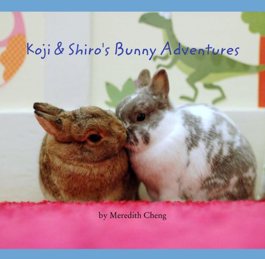 View Koji & Shiro's Bunny Adventures by Meredith Cheng