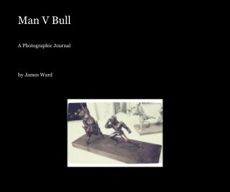 Man V Bull book cover
