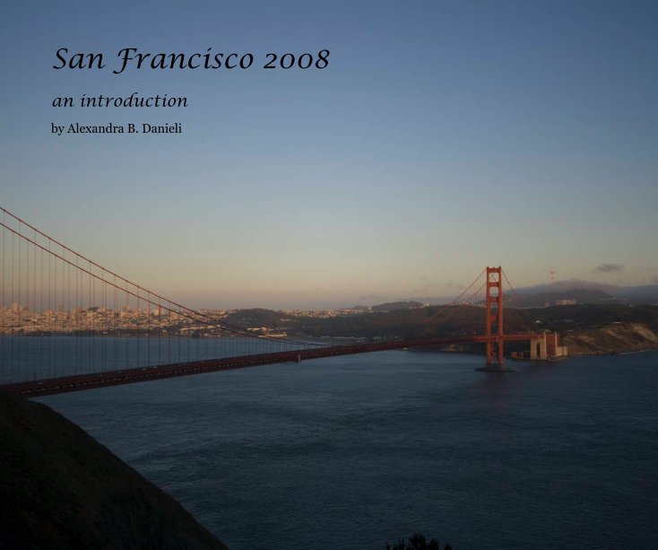 View San Francisco 2008 by Alexandra B. Danieli