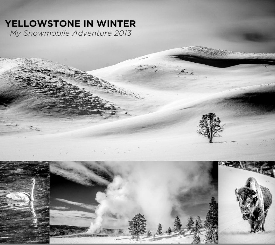 View Yellowstone in Winter by Rick Moore