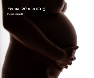 Fenna, 20 mei 2013 book cover