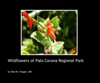 Wildflowers of Palo Corona Regional Park book cover