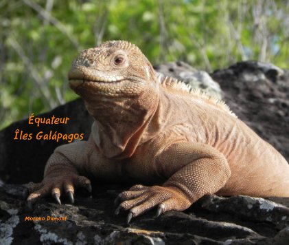 Équateur et Galapagos book cover