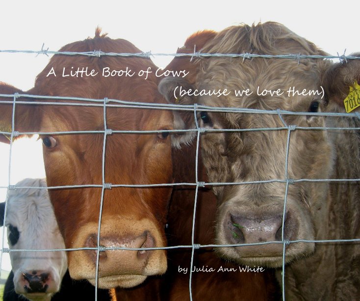 Ver A Little Book of Cows (because we love them) por Julia Ann White