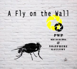 A Fly On The Wall book cover