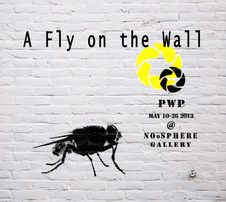 View A Fly On The Wall by Linda Sandow