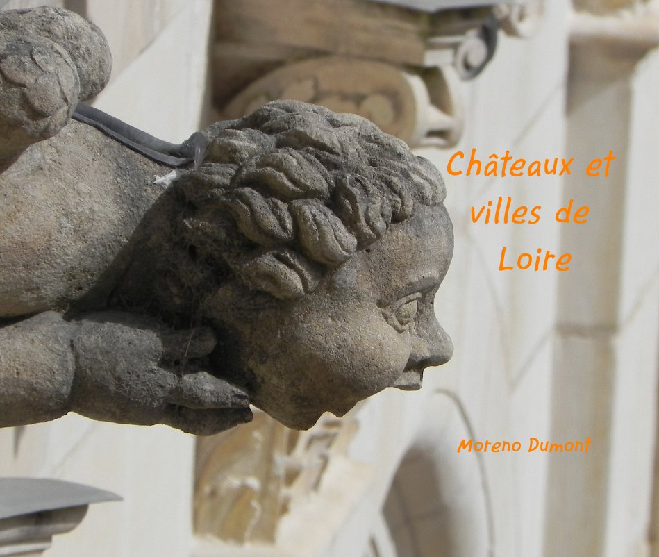 Ver Châteaux et villes de Loire por Moreno Dumont