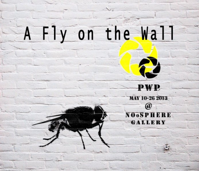Bekijk A Fly On The Wall - Soft Cover op Linda Sandow