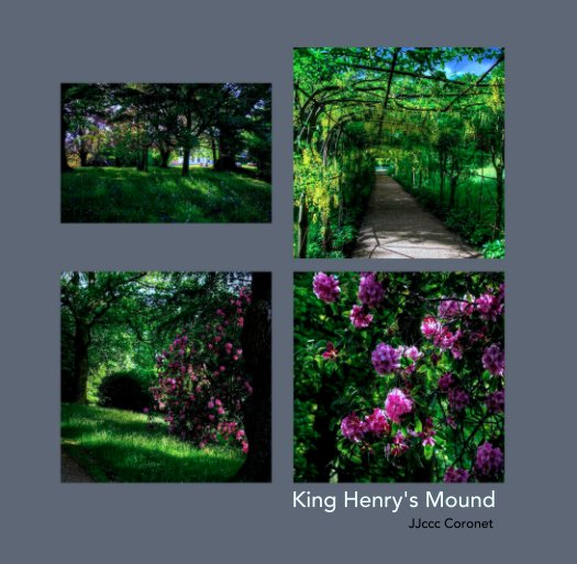 View King Henry's Mound by JJccc Coronet