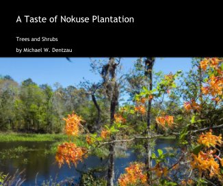 A Taste of Nokuse Plantation book cover