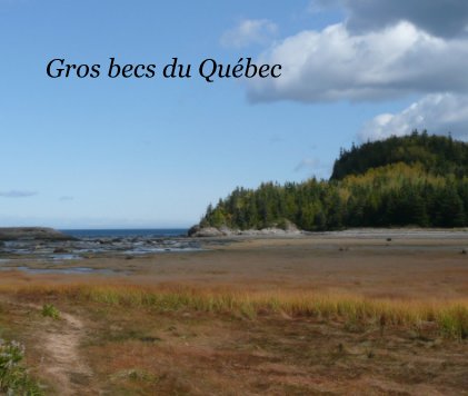 Gros becs du Québec book cover