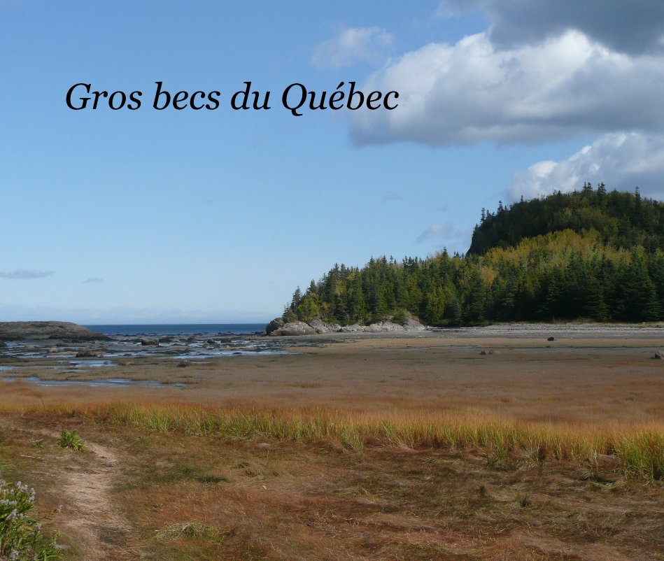 View Gros becs du Québec by Sooky00