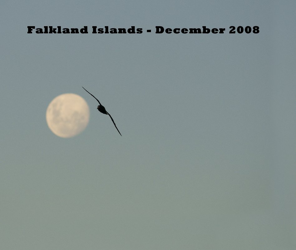 Visualizza Falkland Islands - December 2008 di Klaas Lukas