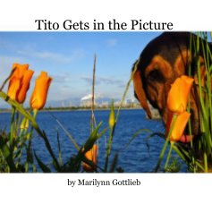 Tito Gets in the Picture book cover