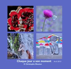 Chaque jour a son moment / Avril 2013 book cover