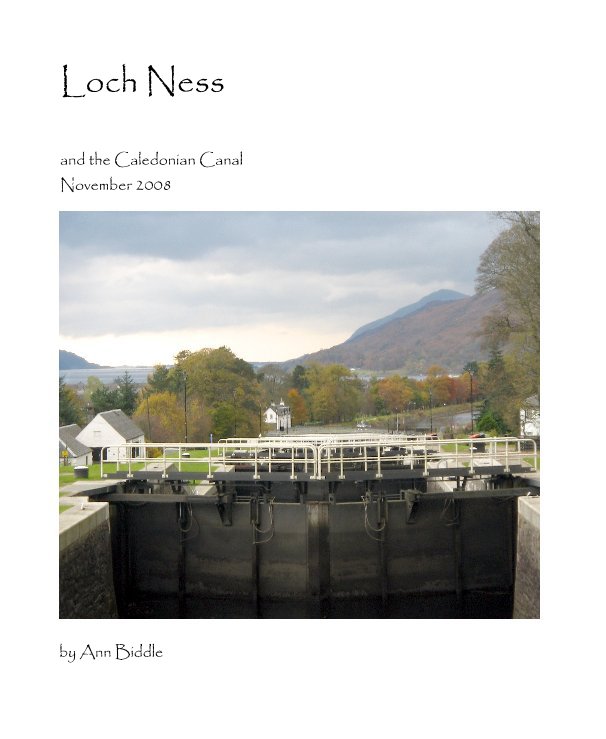 View Loch Ness by Ann Biddle
