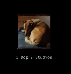 1 Dog 2 Studios book cover
