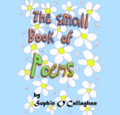 The Small Book of Poems book cover