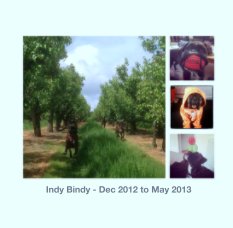 Indy Bindy - Dec 2012 to May 2013 book cover