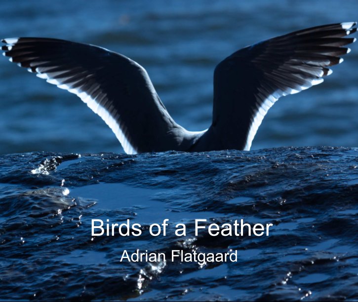 Birds of a Feather nach Adrian Flatgaard anzeigen