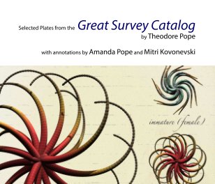 The Great Survey book cover