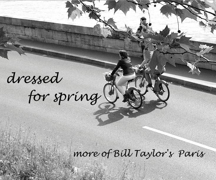 View dressed for spring more of Bill Taylor's Paris by Bill Taylor's Paris, bis