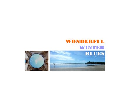 WONDERFUL WINTER BLUES book cover