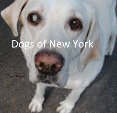 Dogs of New York book cover