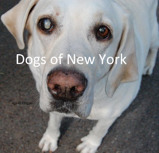 Ver Dogs of New York por Aprill Hogue