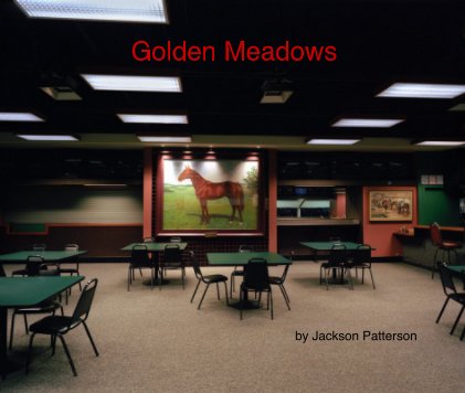 Golden Meadows book cover
