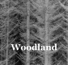 Woodland book cover