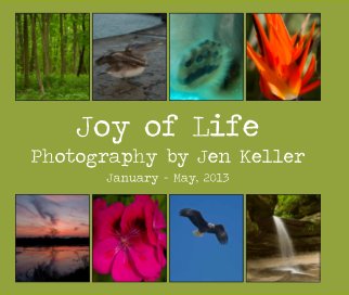 Joy of Life book cover