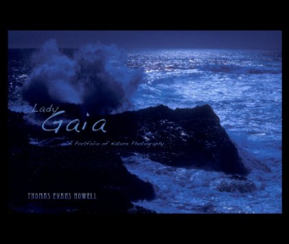 Lady Gaia. book cover