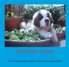 TROOPER'S STORY book cover