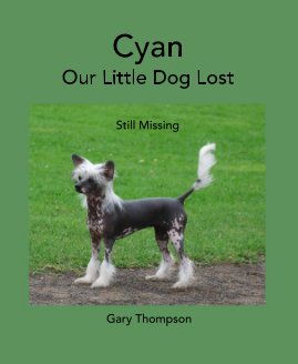 Cyan Our Little Dog Lost book cover