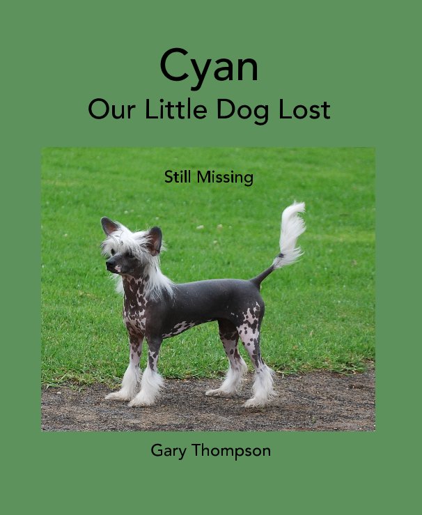 View Cyan Our Little Dog Lost by Gary Thompson