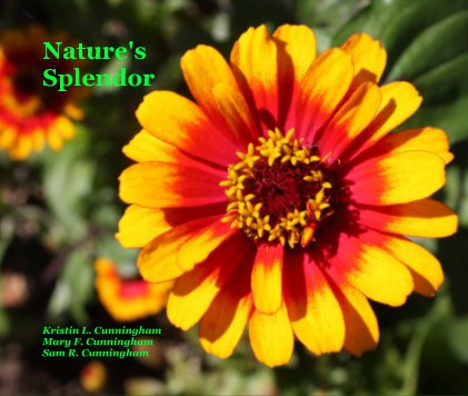 Nature's Splendor book cover