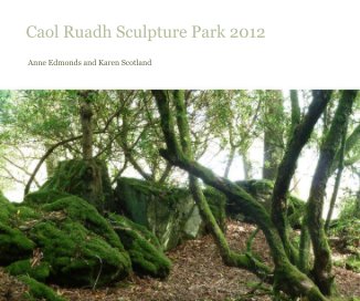 Caol Ruadh Sculpture Park 2012 book cover