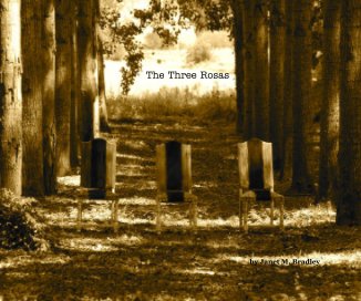 The Three Rosas book cover
