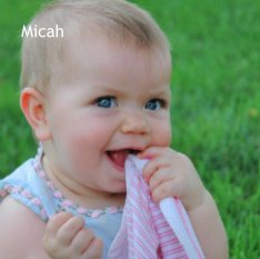 Micah book cover