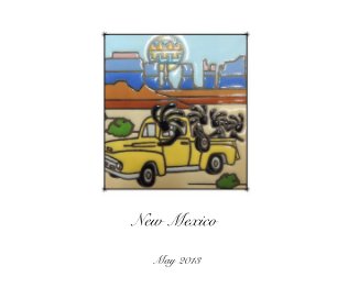 New Mexico book cover