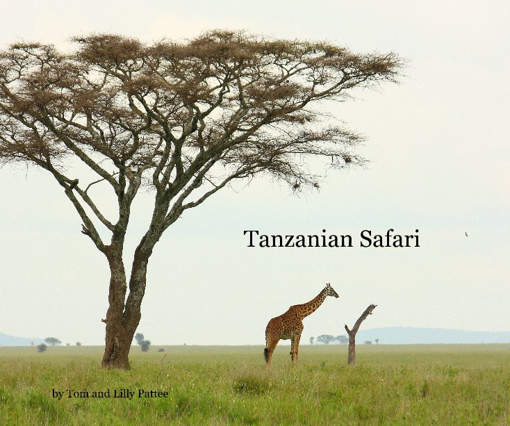 Visualizza Tanzanian Safari di Tom and Lilly Pattee