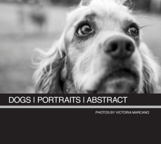 Dogs, Portraits, Abstract book cover