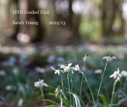 HND Graded Unit Sarah Young 2012/13 book cover