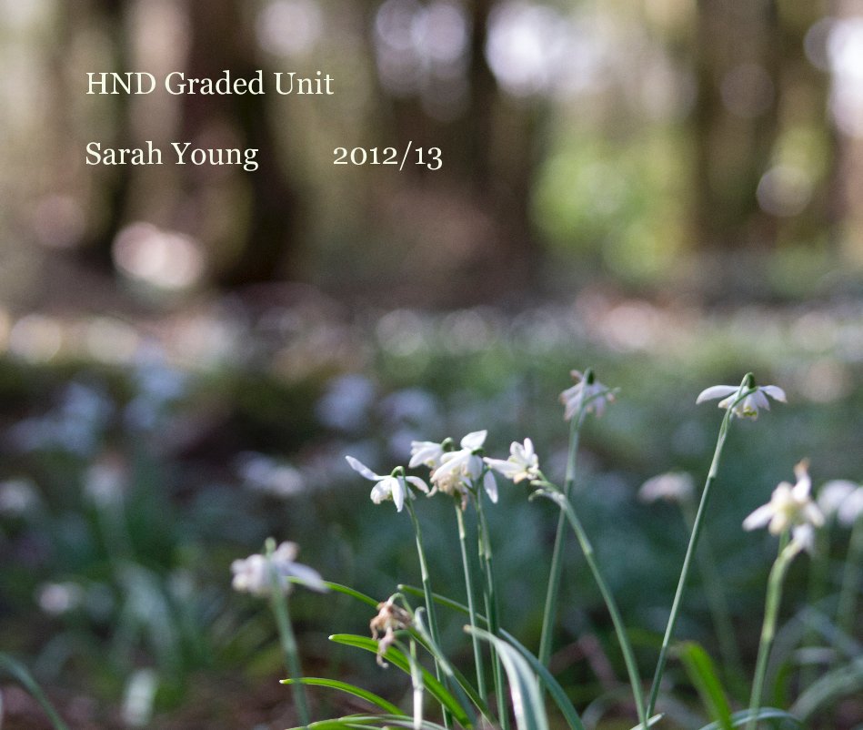 HND Graded Unit Sarah Young 2012/13 nach Sarah Young anzeigen