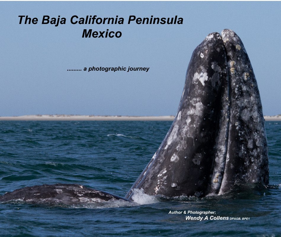 View The Baja California Peninsula Mexico by Author & Photographer: Wendy A Collens DPAGB, BPE1