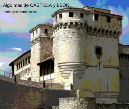 Algo más de CASTILLA y LEON book cover