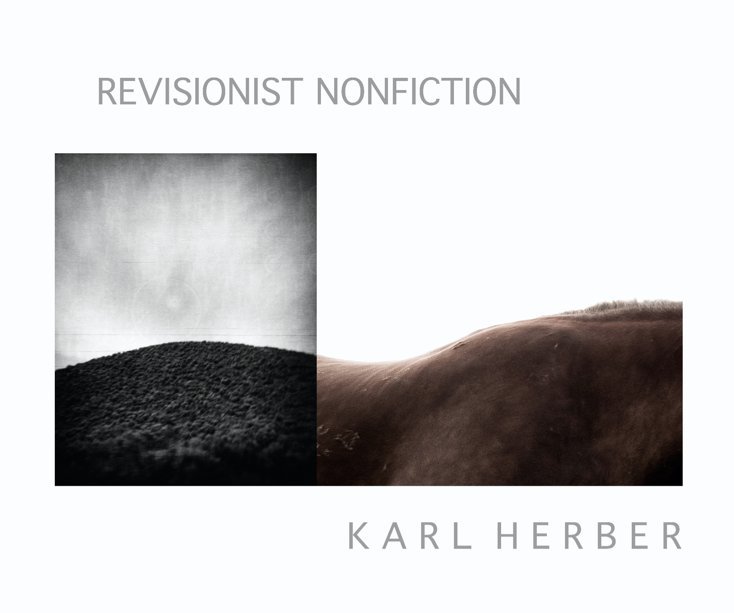 Visualizza Revisionist Nonfiction di Karl Herber