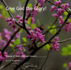 Give God the Glory! book cover