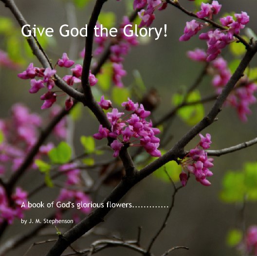 View Give God the Glory! by J. M. Stephenson